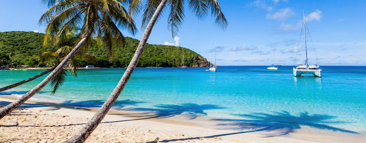 St. Vincent &amp; Grenadines